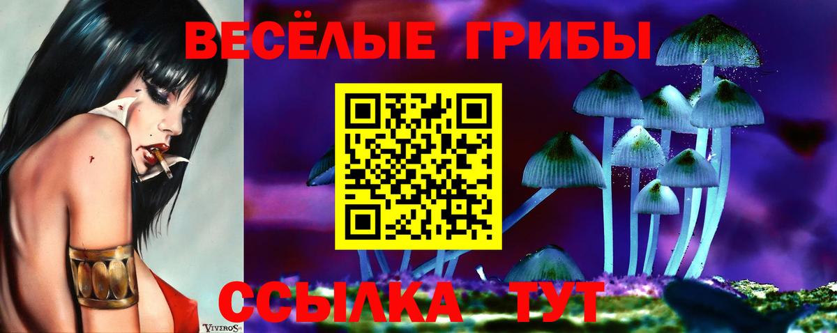Галлюциногенные грибы мицелий  где купить наркотик  Псилоцибиновые грибы Psilocybe  Реутов  Вход с VPN 